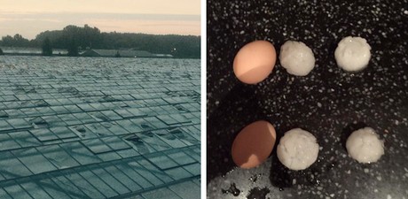Europe: Hail, thunderstorms destroy greenhouses